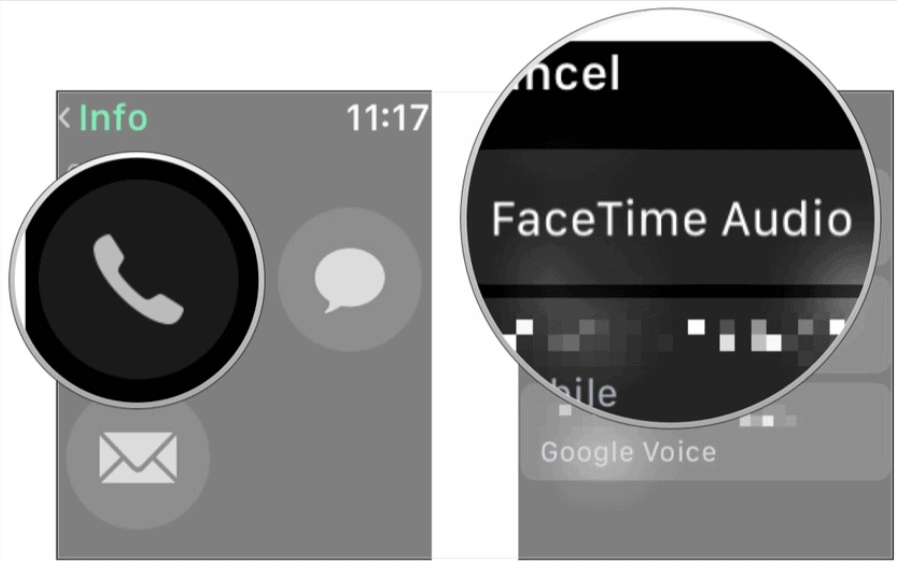 FaceTime Audio