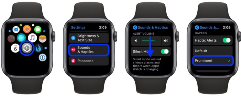 How To Set Apple Watch Se To Vibrate Only