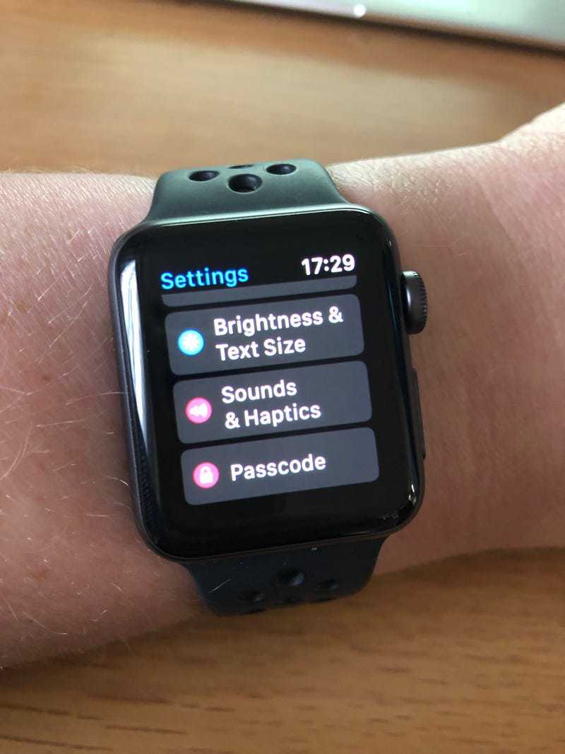 How to Change Apple Watch Haptic Vibrate Settings