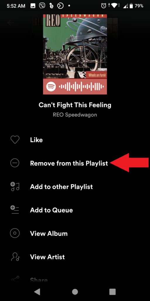 Remove from this Playlist