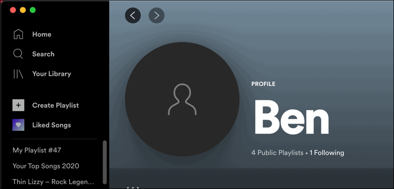 An example of a placeholder Spotify profile image